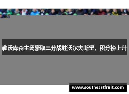 勒沃库森主场豪取三分战胜沃尔夫斯堡，积分榜上升