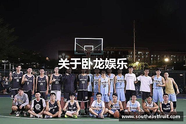 关于卧龙娱乐